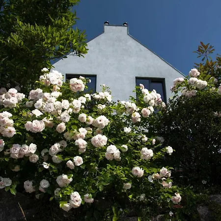 Sonnensteg 23 Appartement *