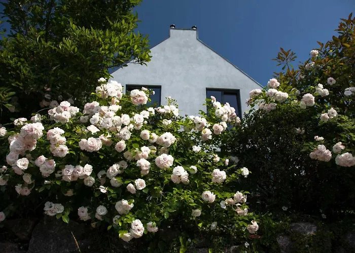 Sonnensteg 23 Lejlighed *